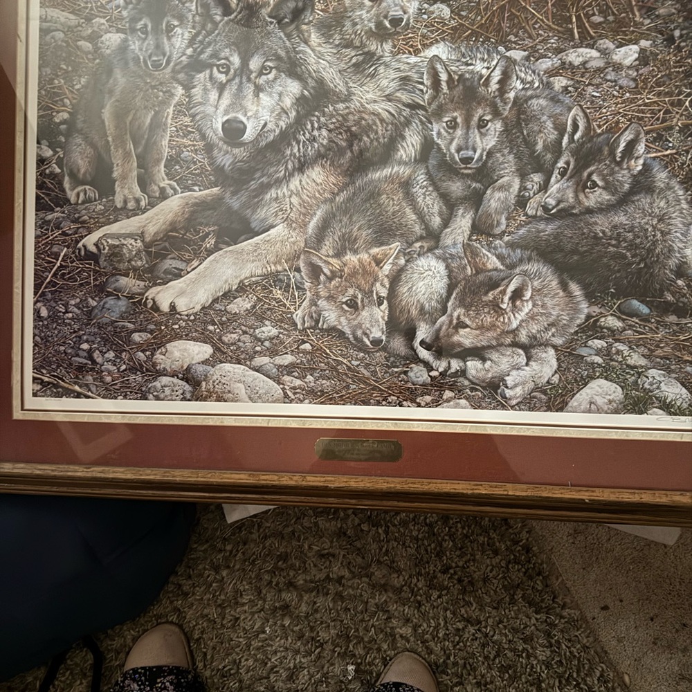 Wolf Pack Framed Art